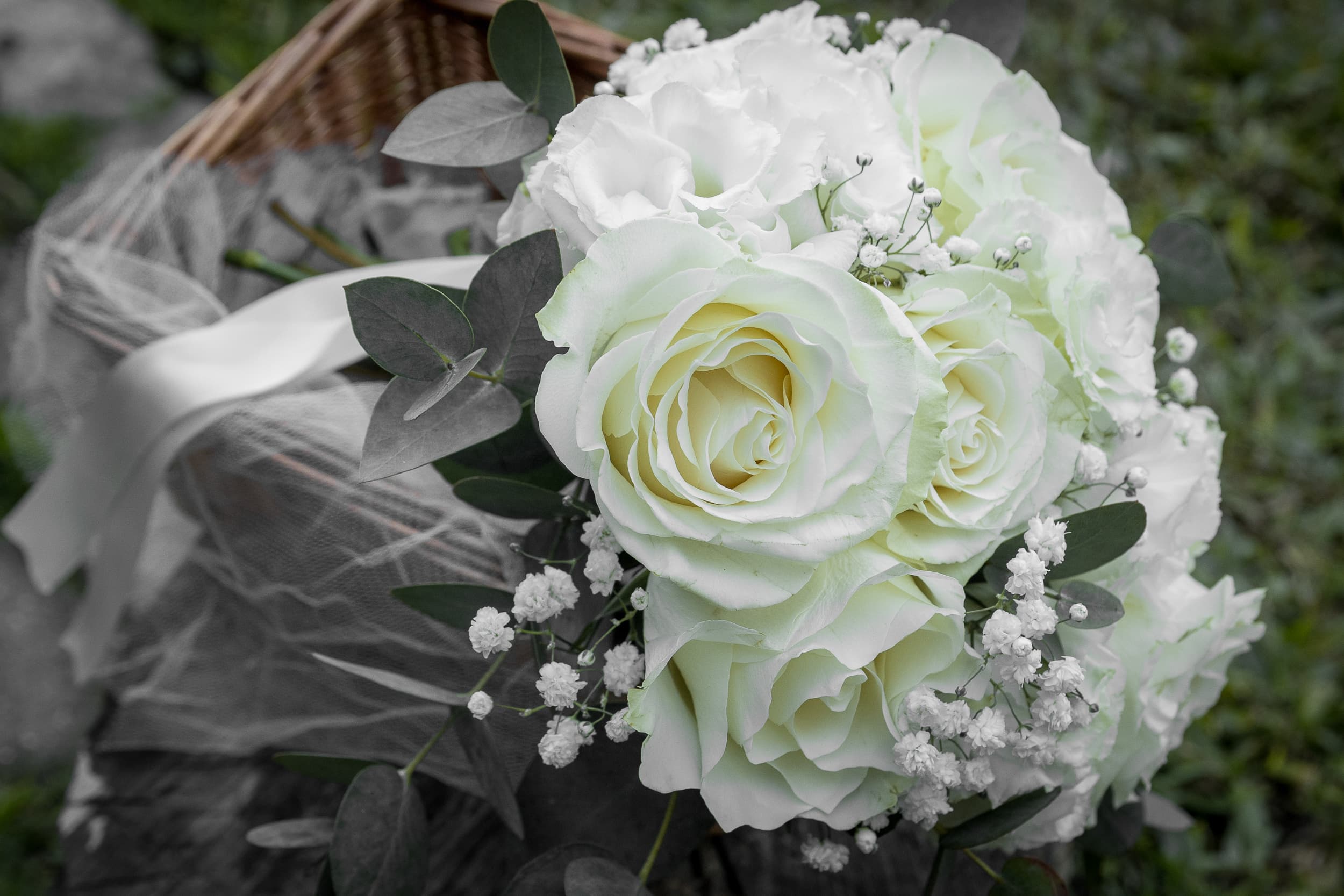 Imagen del proveedor 5