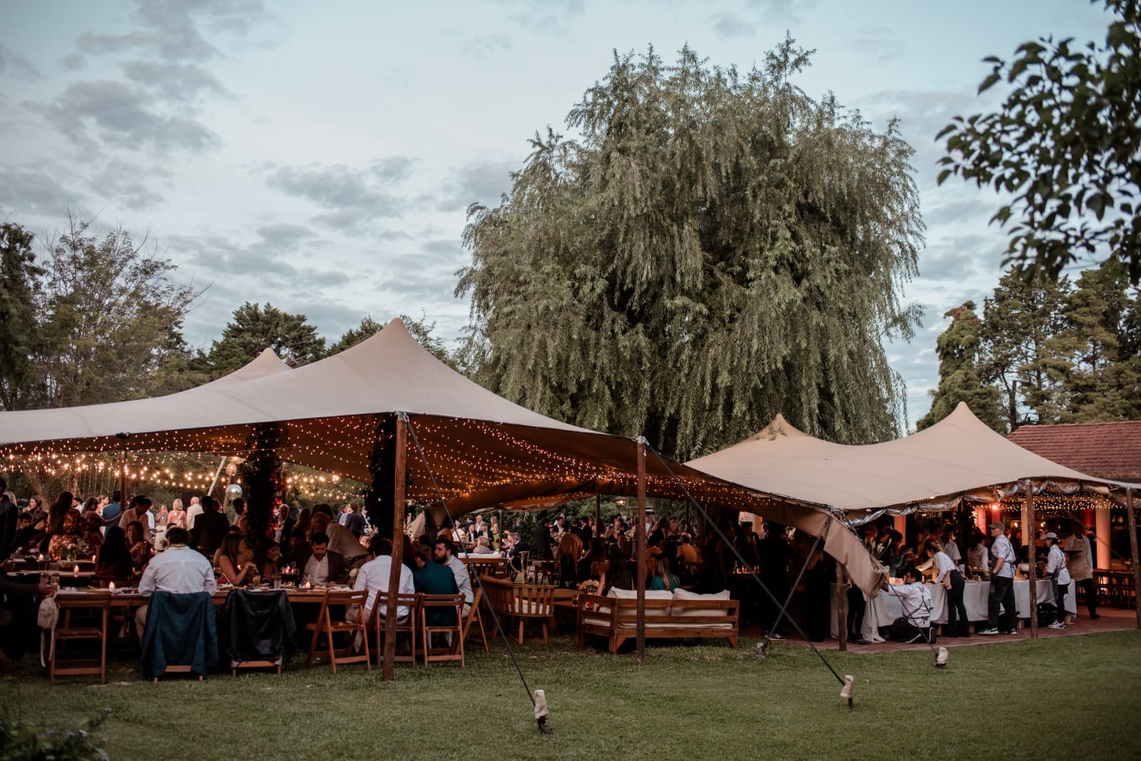 Imagen del proveedor 10