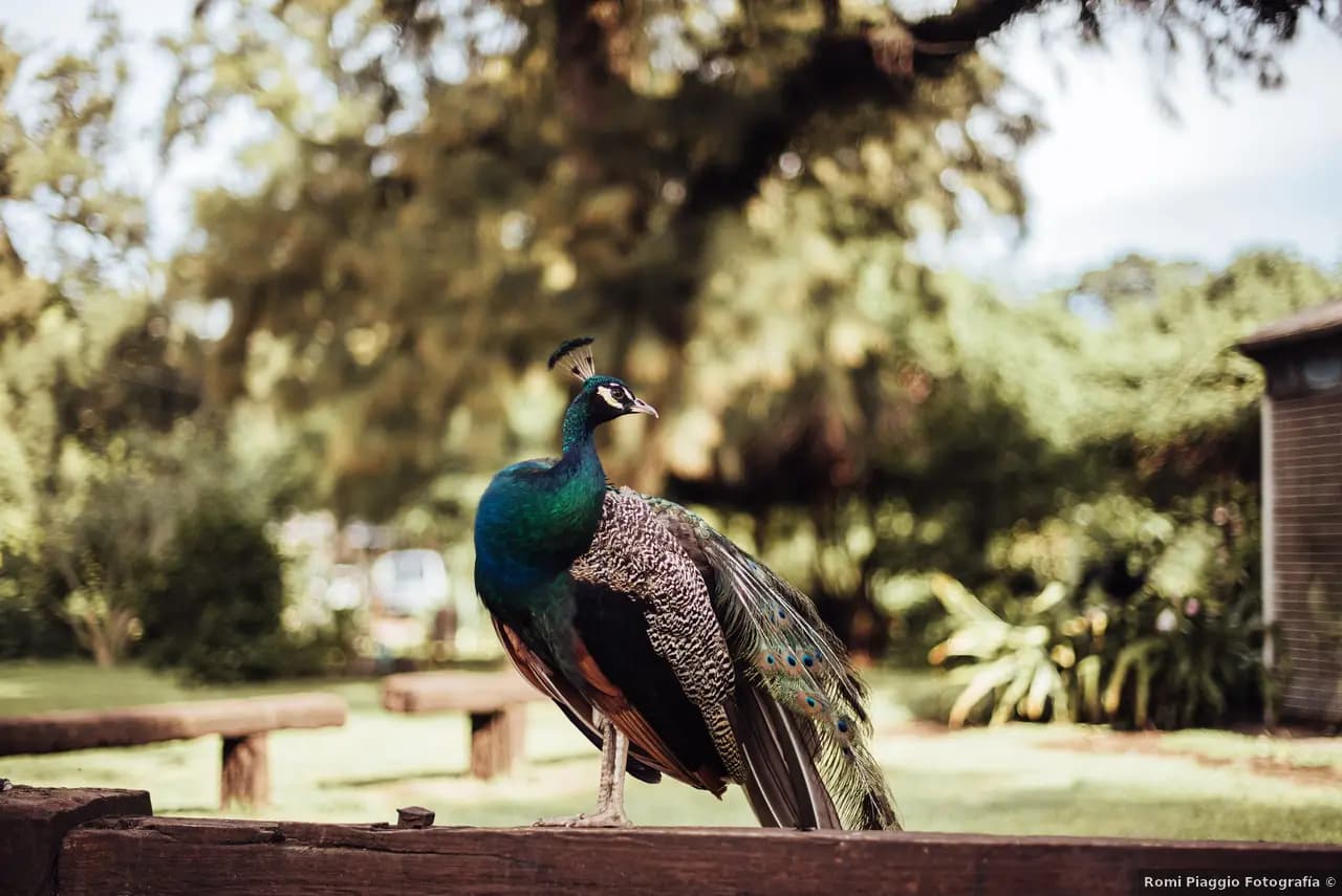 Imagen del proveedor 10