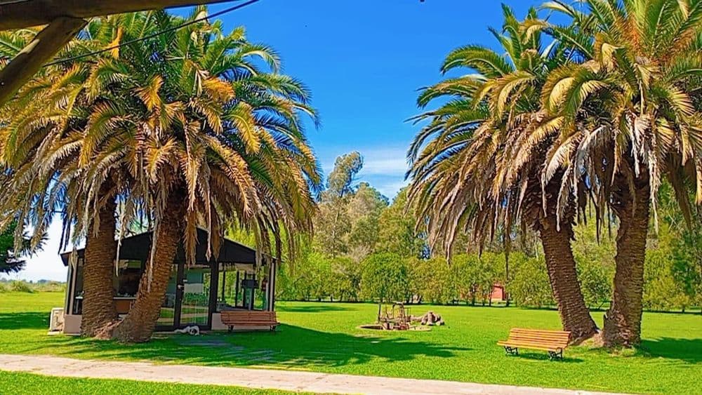 Proveedor Brisas de Brandsen: imagen #1