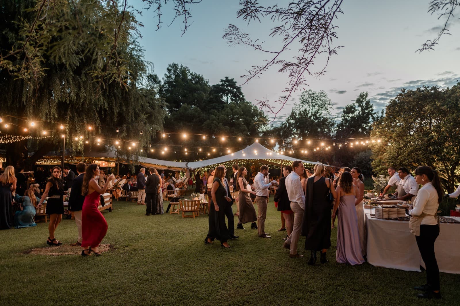 Imagen del proveedor 9