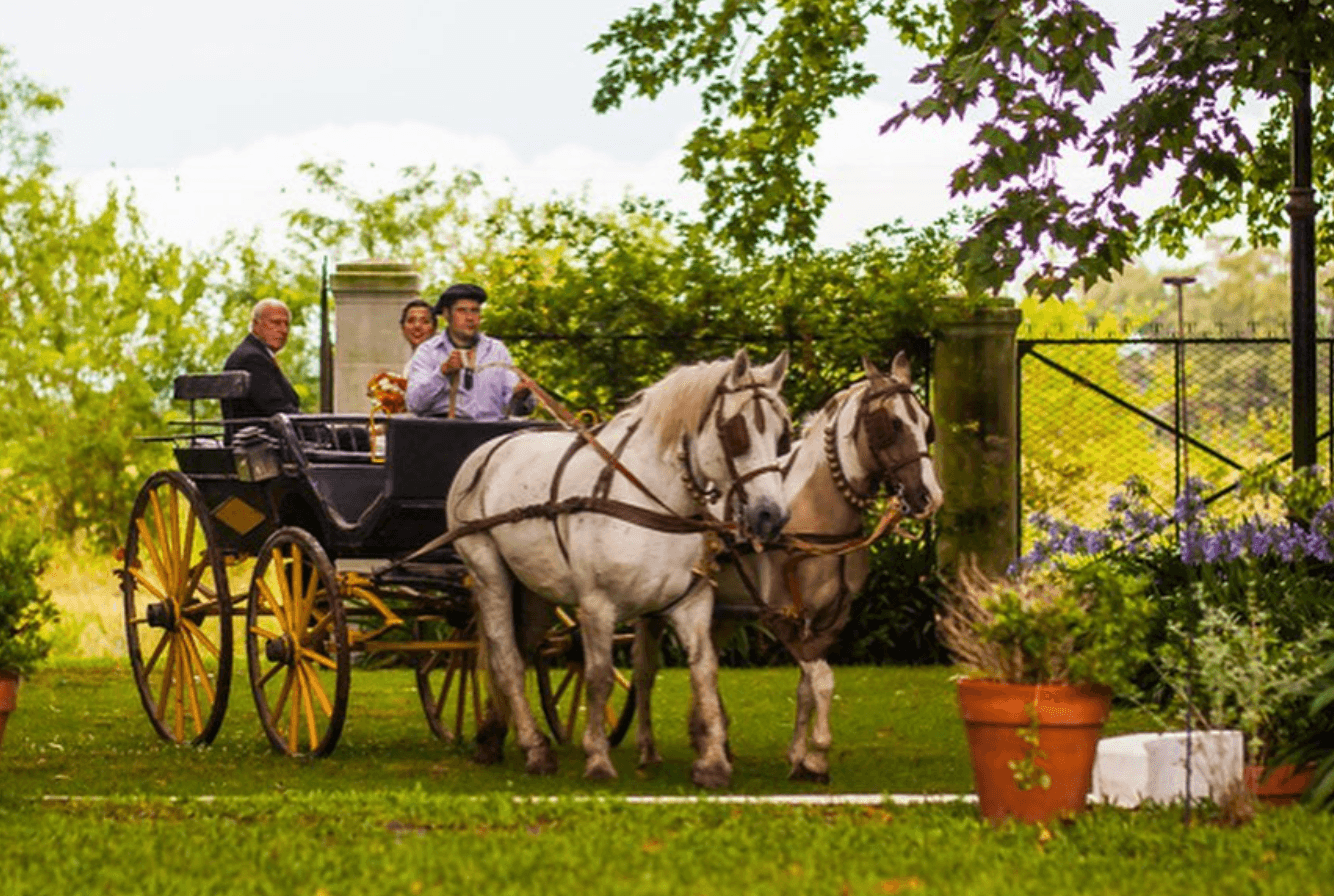 Imagen del proveedor 16