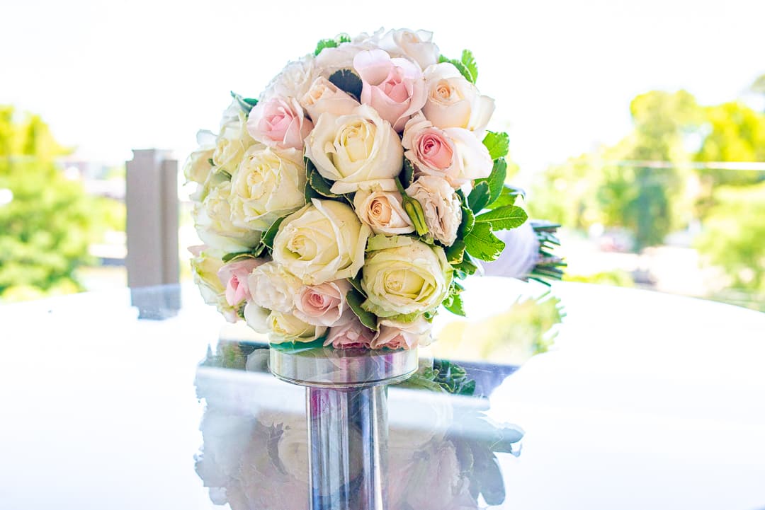 Imagen del proveedor 49