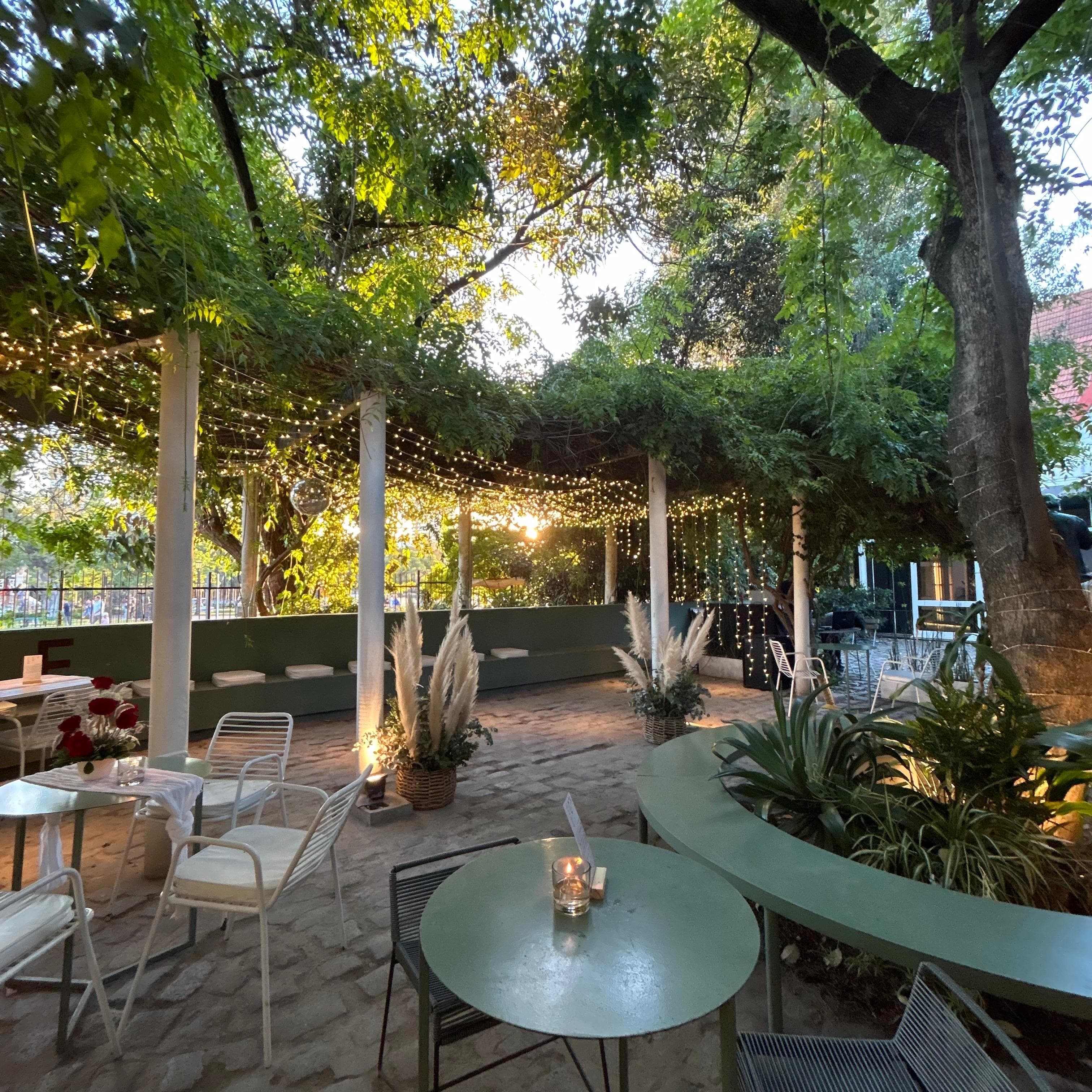 Proveedor Tomate Rosedal: imagen #1