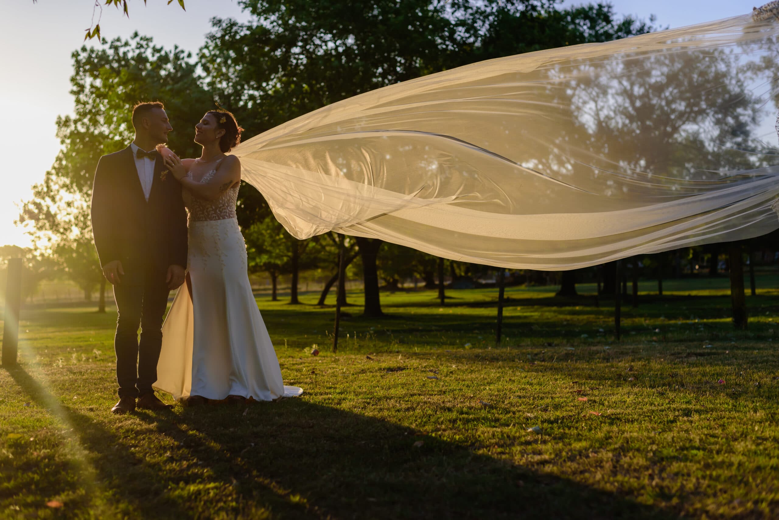 Imagen del proveedor 11