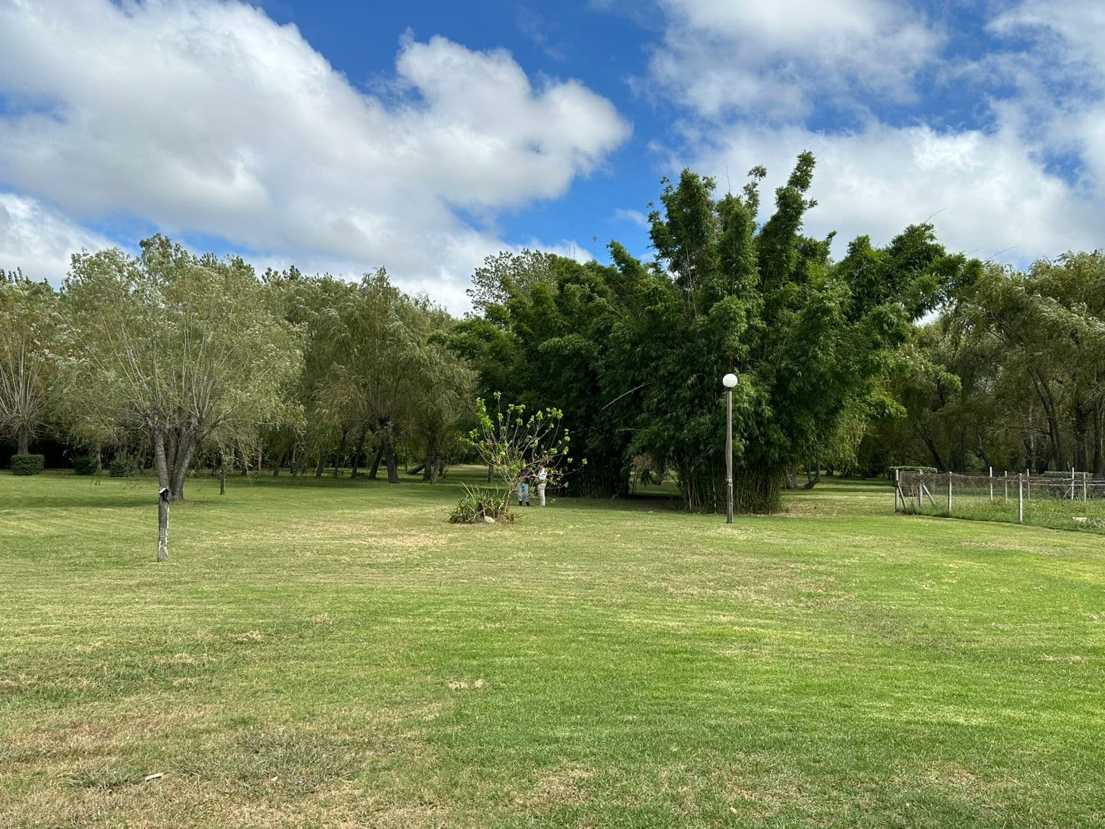 Proveedor Convento de San Francisco: imagen #2