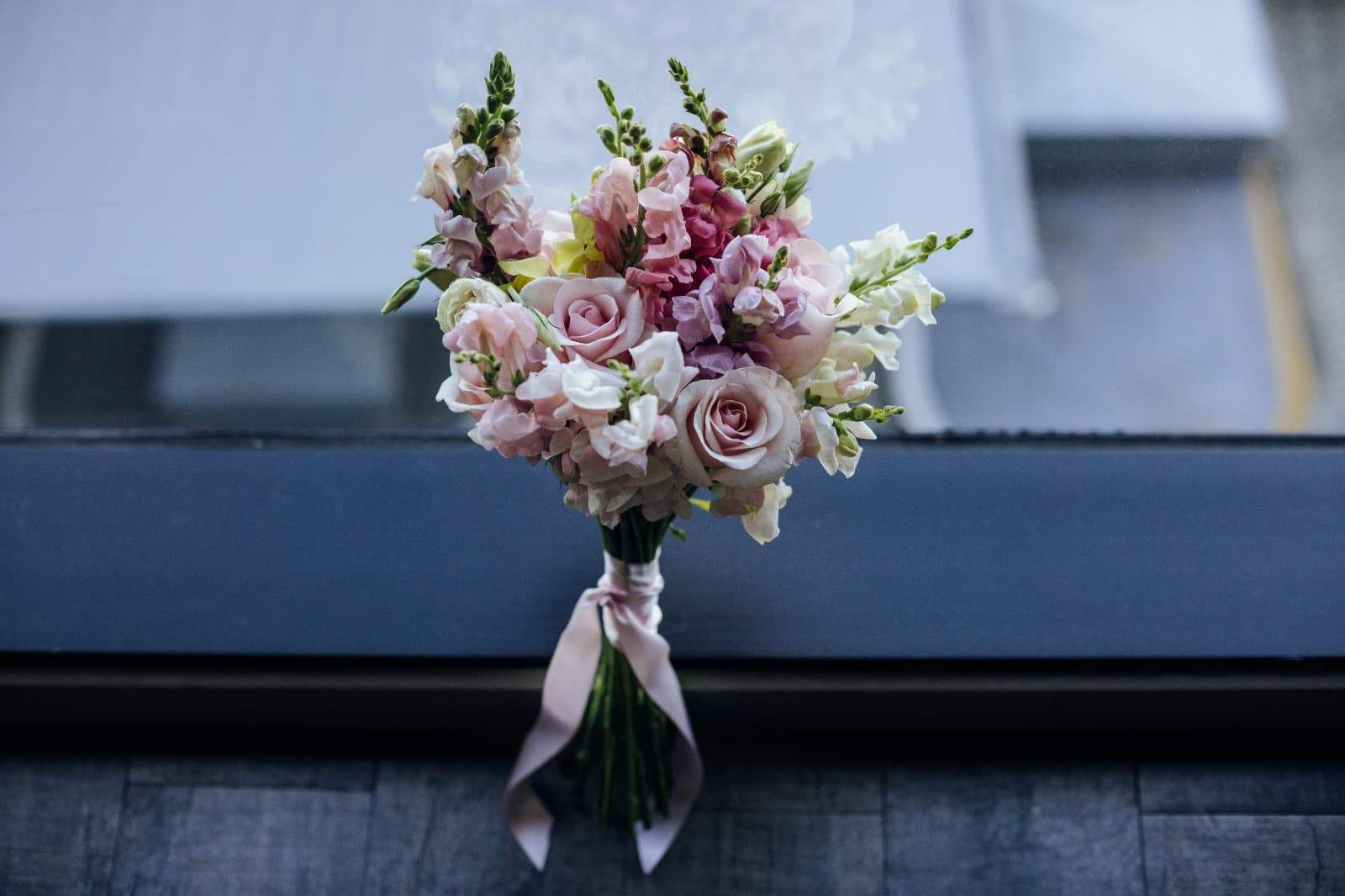 Imagen del proveedor 11