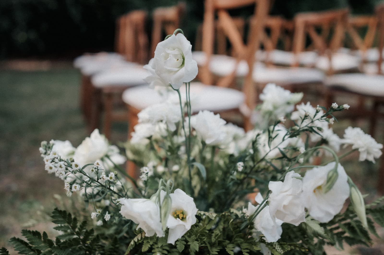 Imagen del proveedor 20