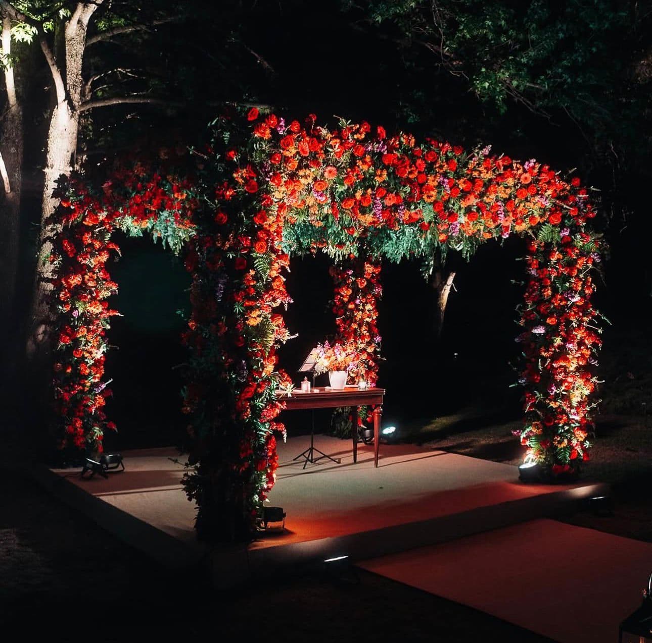 Imagen del proveedor 9