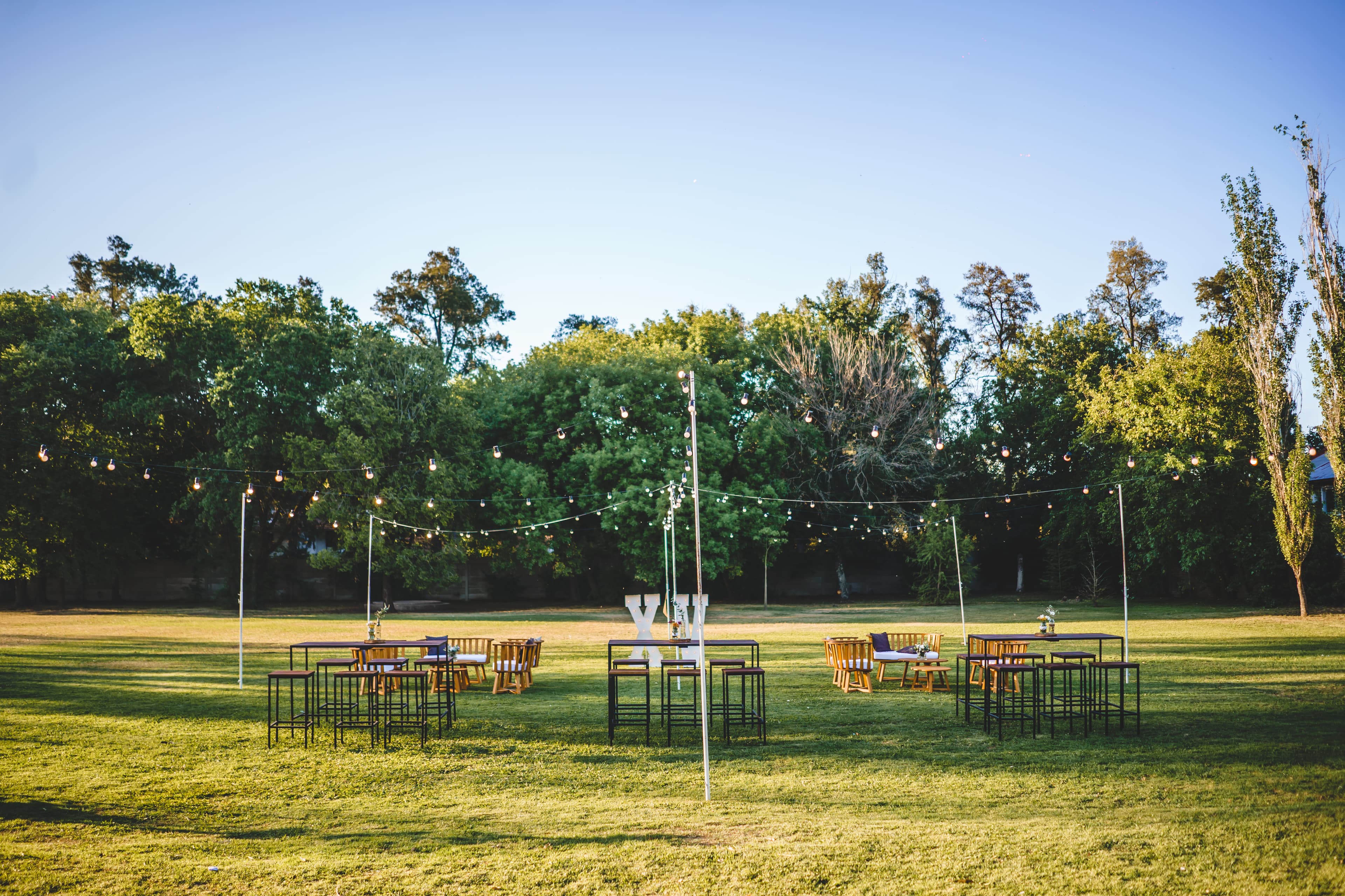 Imagen del proveedor 6