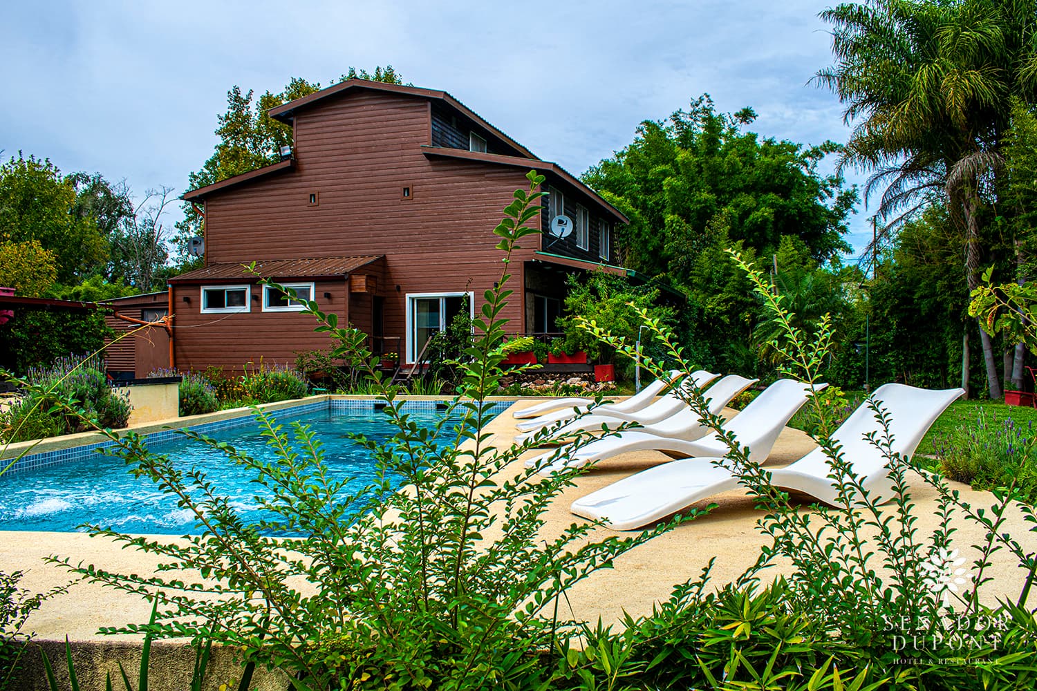 Proveedor Senador Dupont: imagen #2