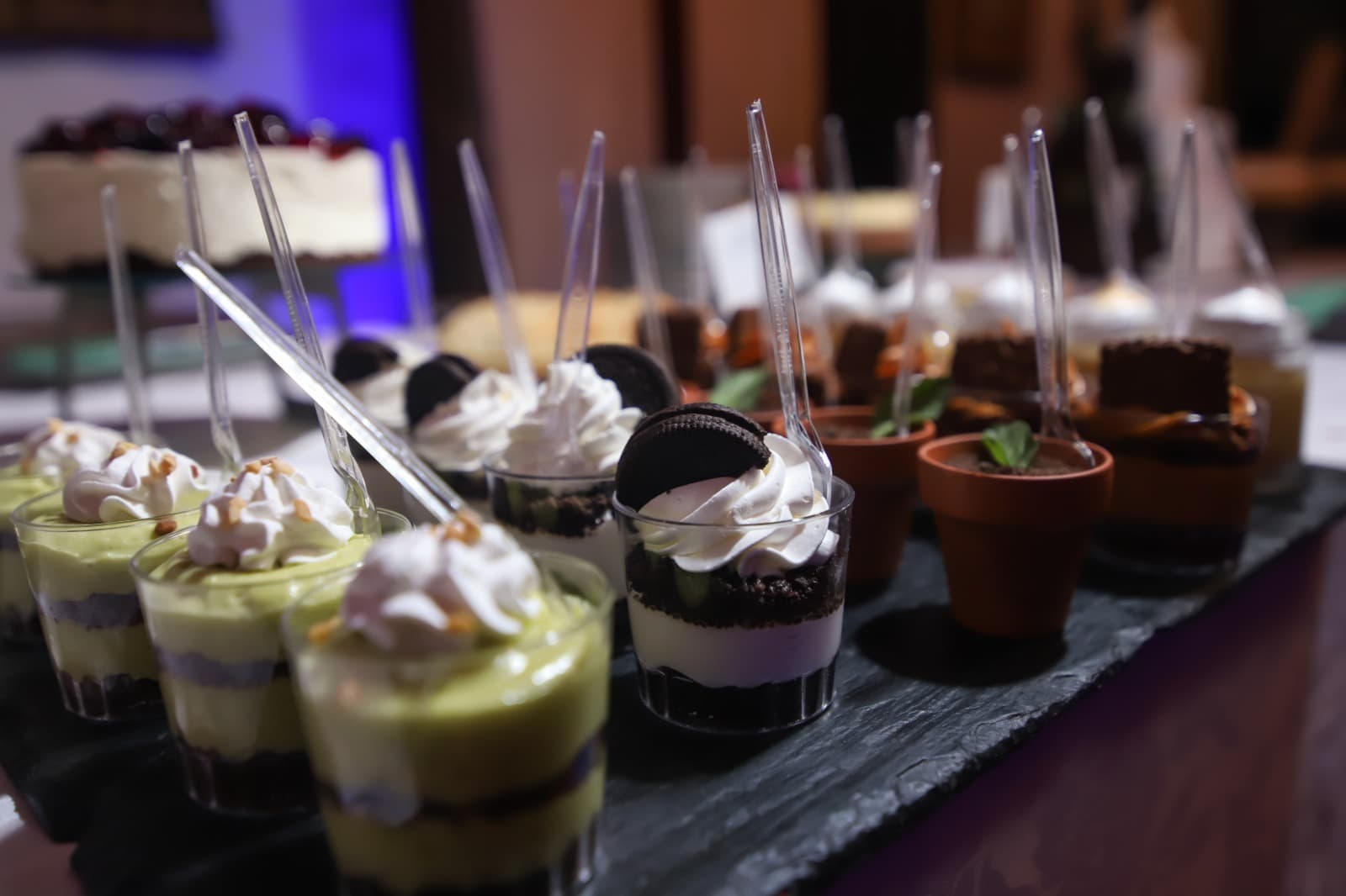 Imagen del proveedor 7