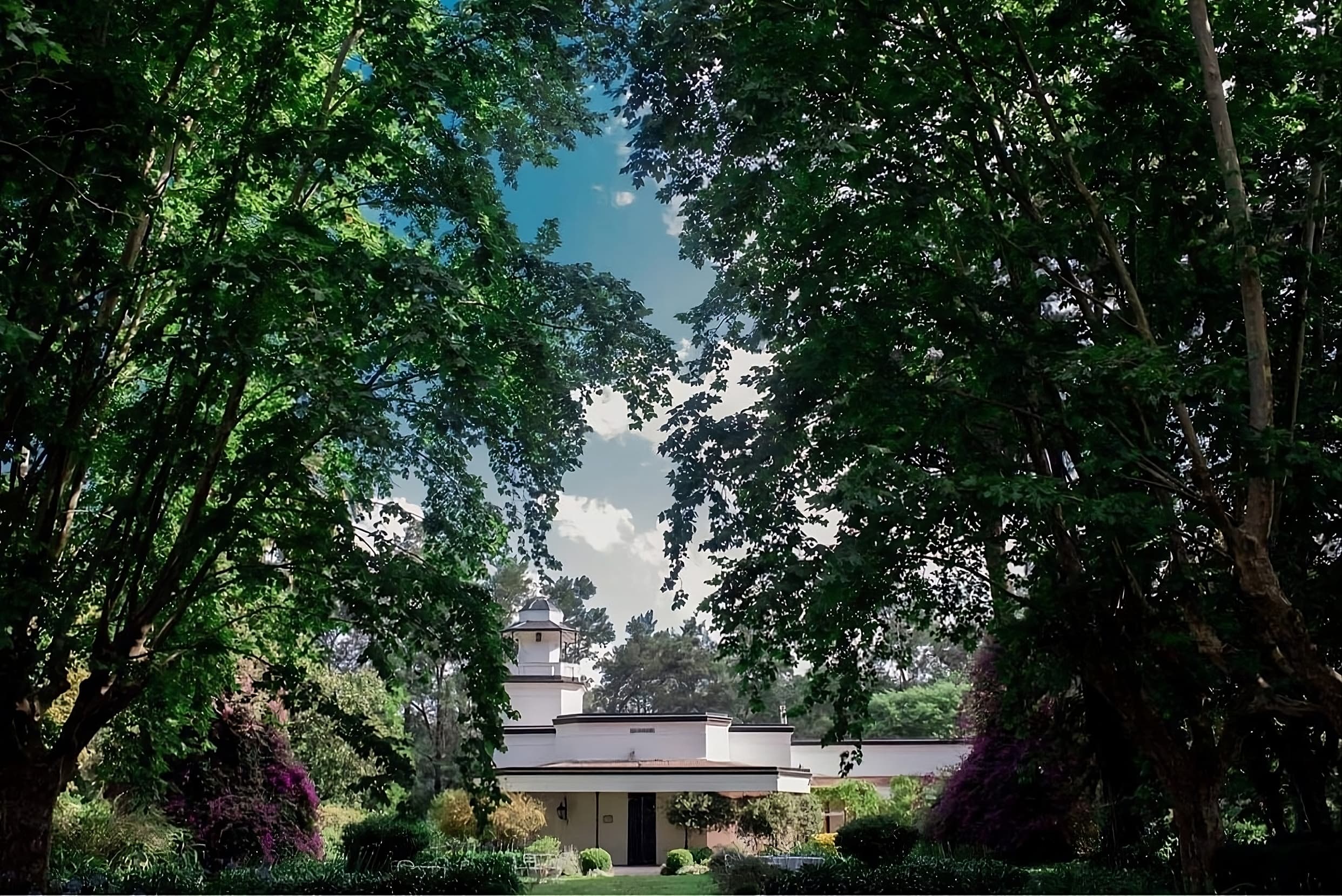 Imagen del proveedor 19