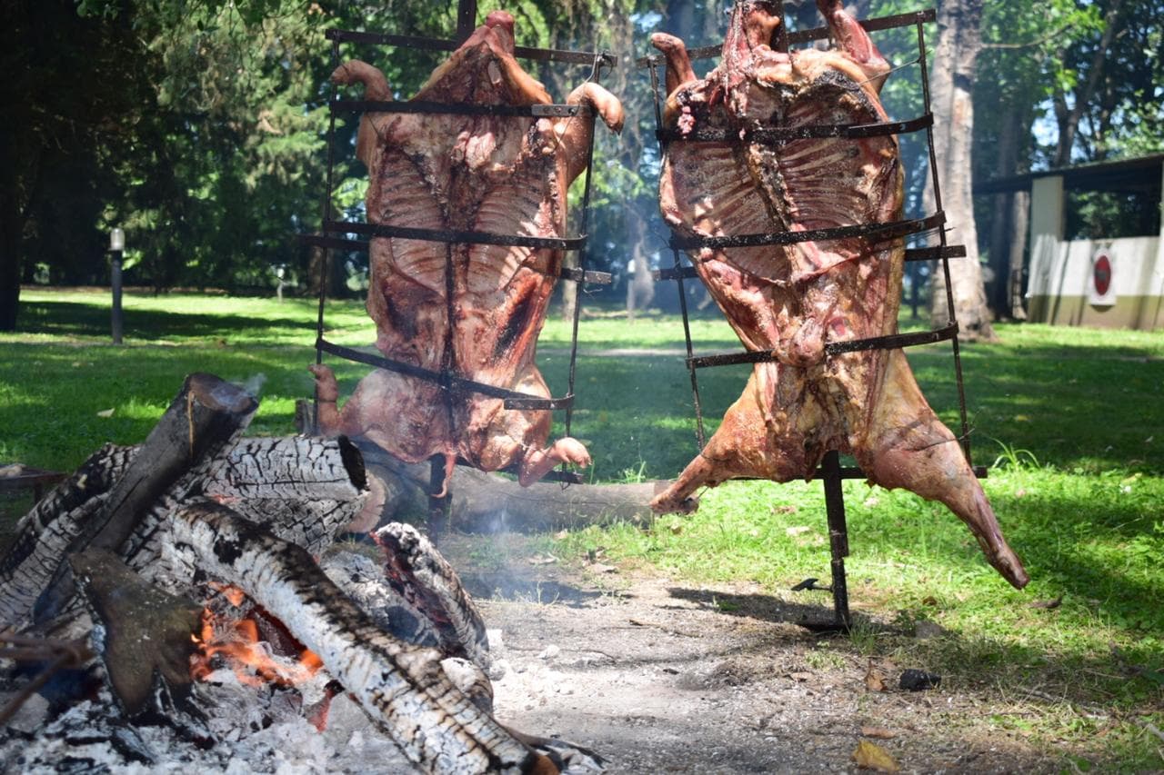 Imagen del proveedor 0