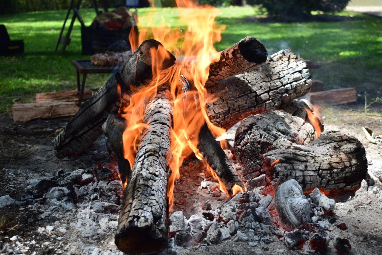 Imagen del proveedor 8