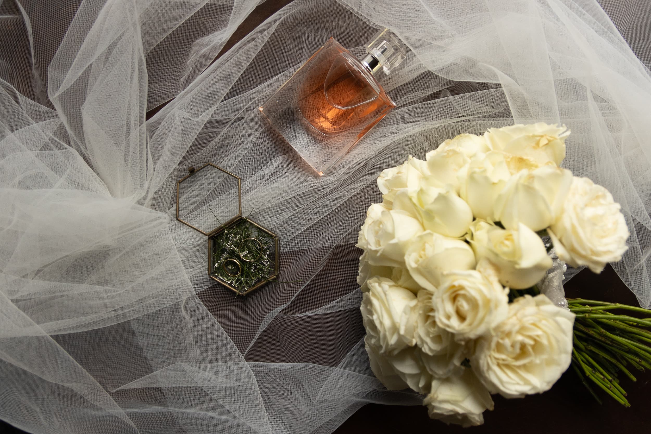 Proveedor Swisslight: imagen #2