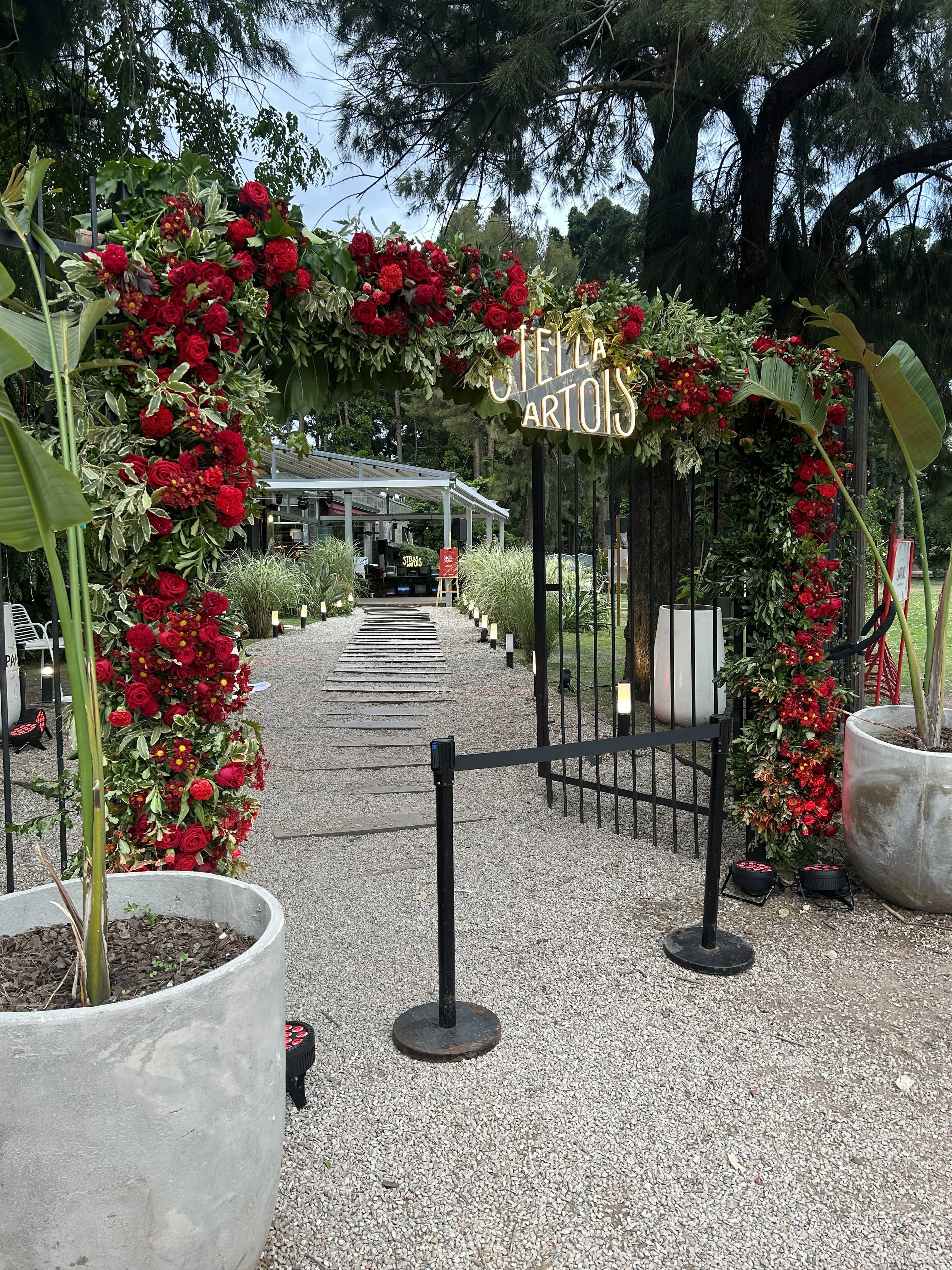 Proveedor Tomate Rosedal: imagen #3