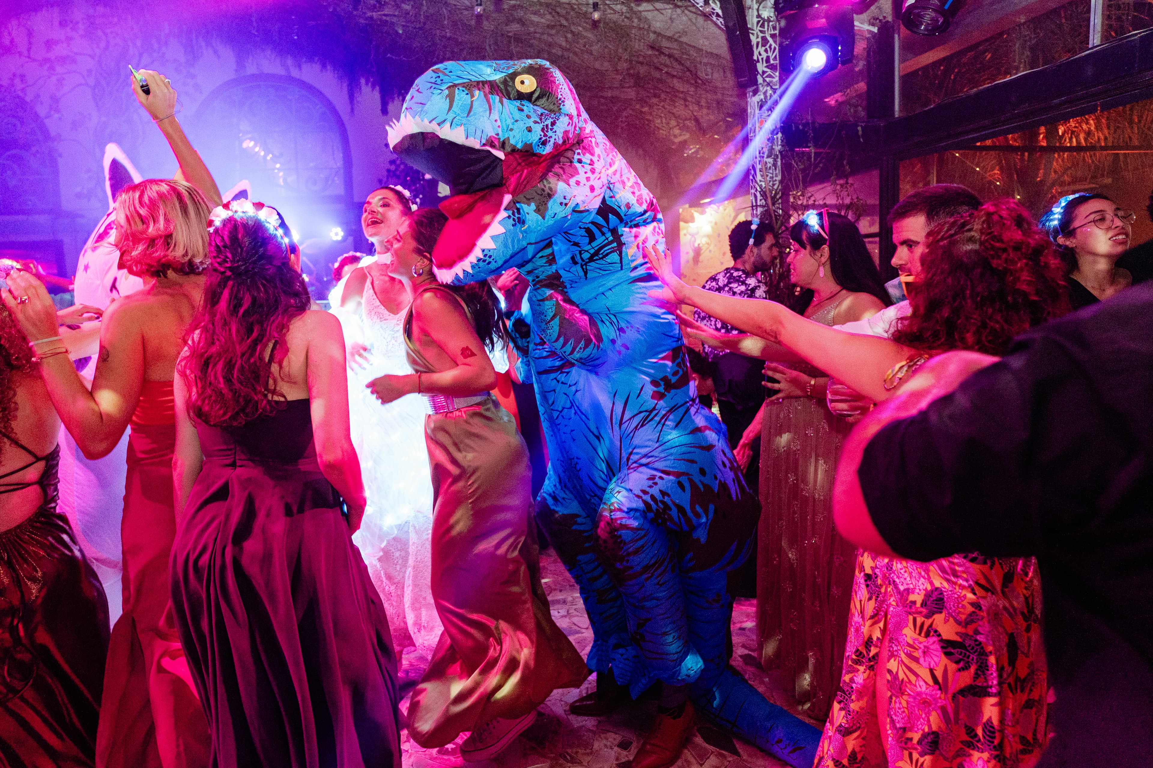 Imagen del proveedor 42