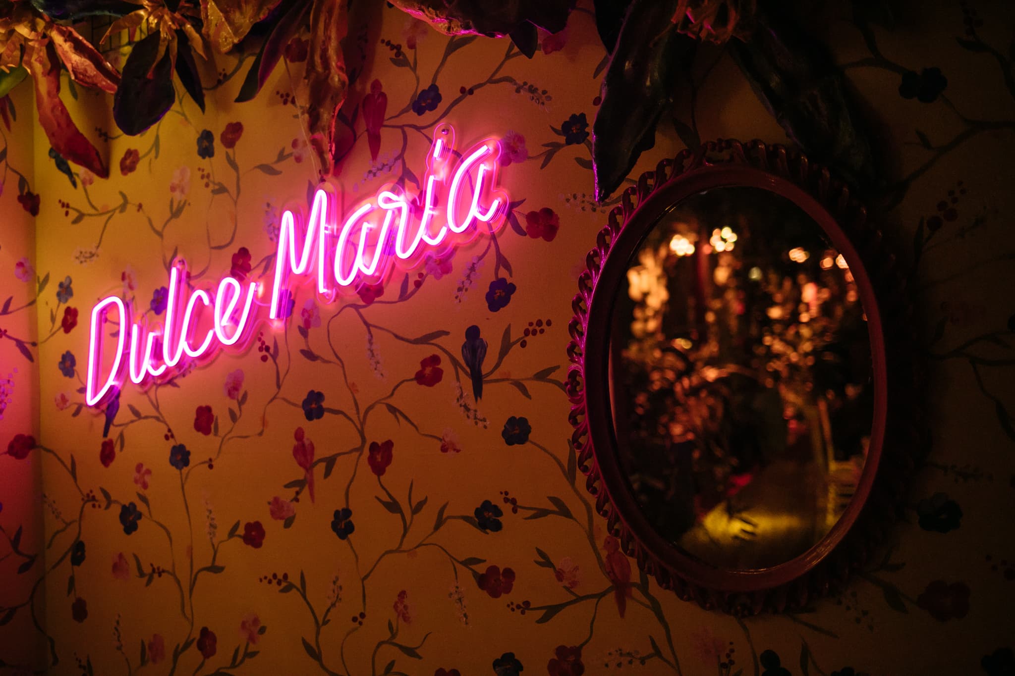 Imagen del proveedor 44