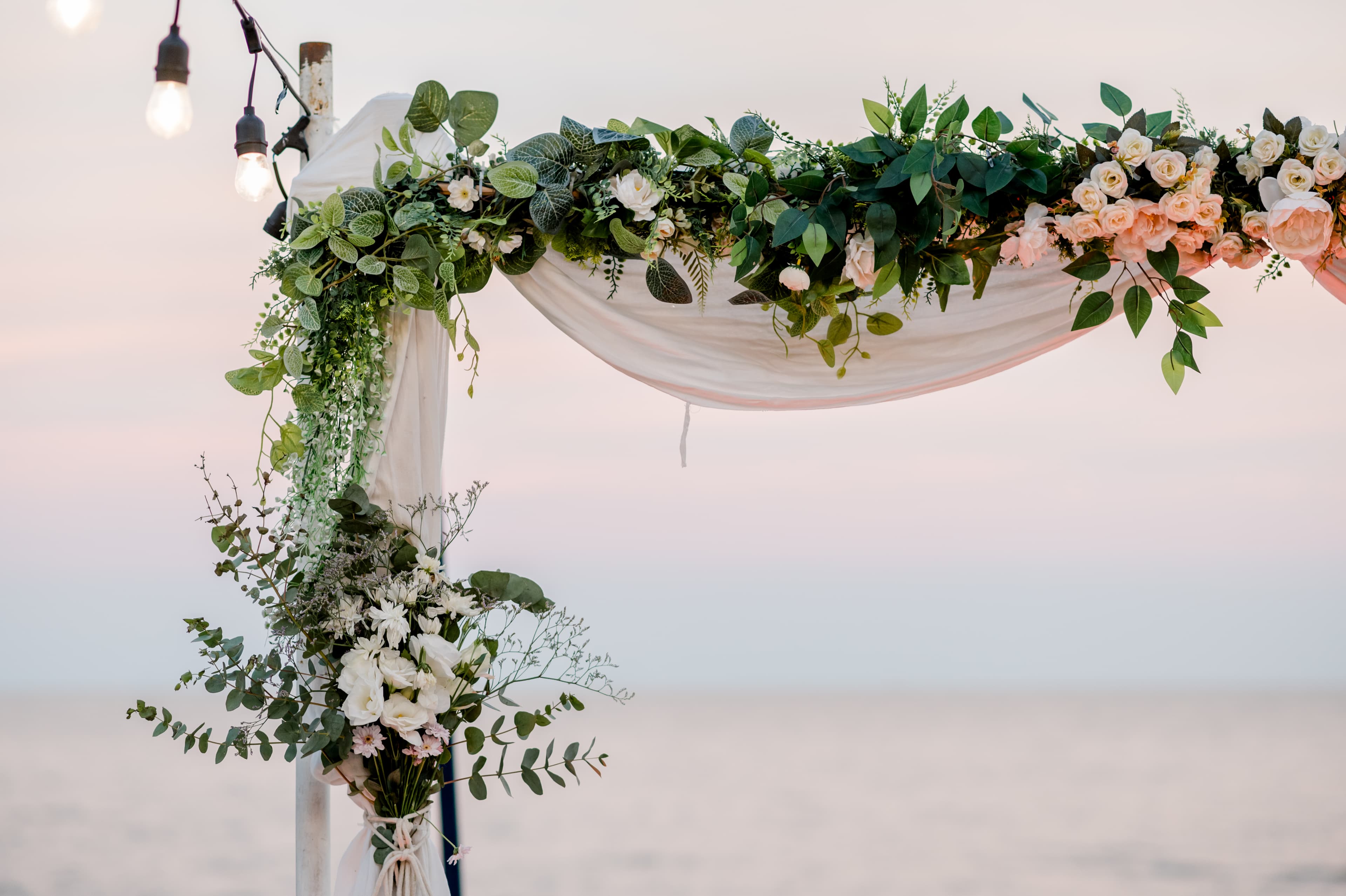 Imagen del proveedor 47