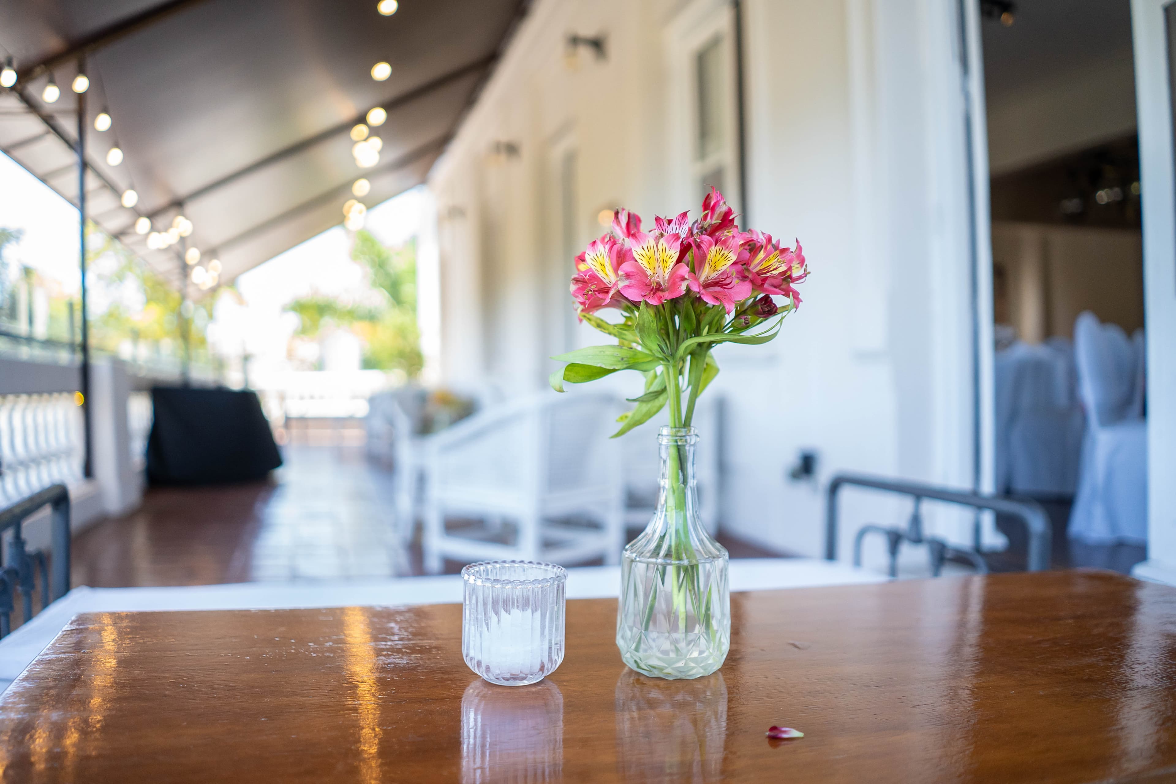 Imagen del proveedor 15