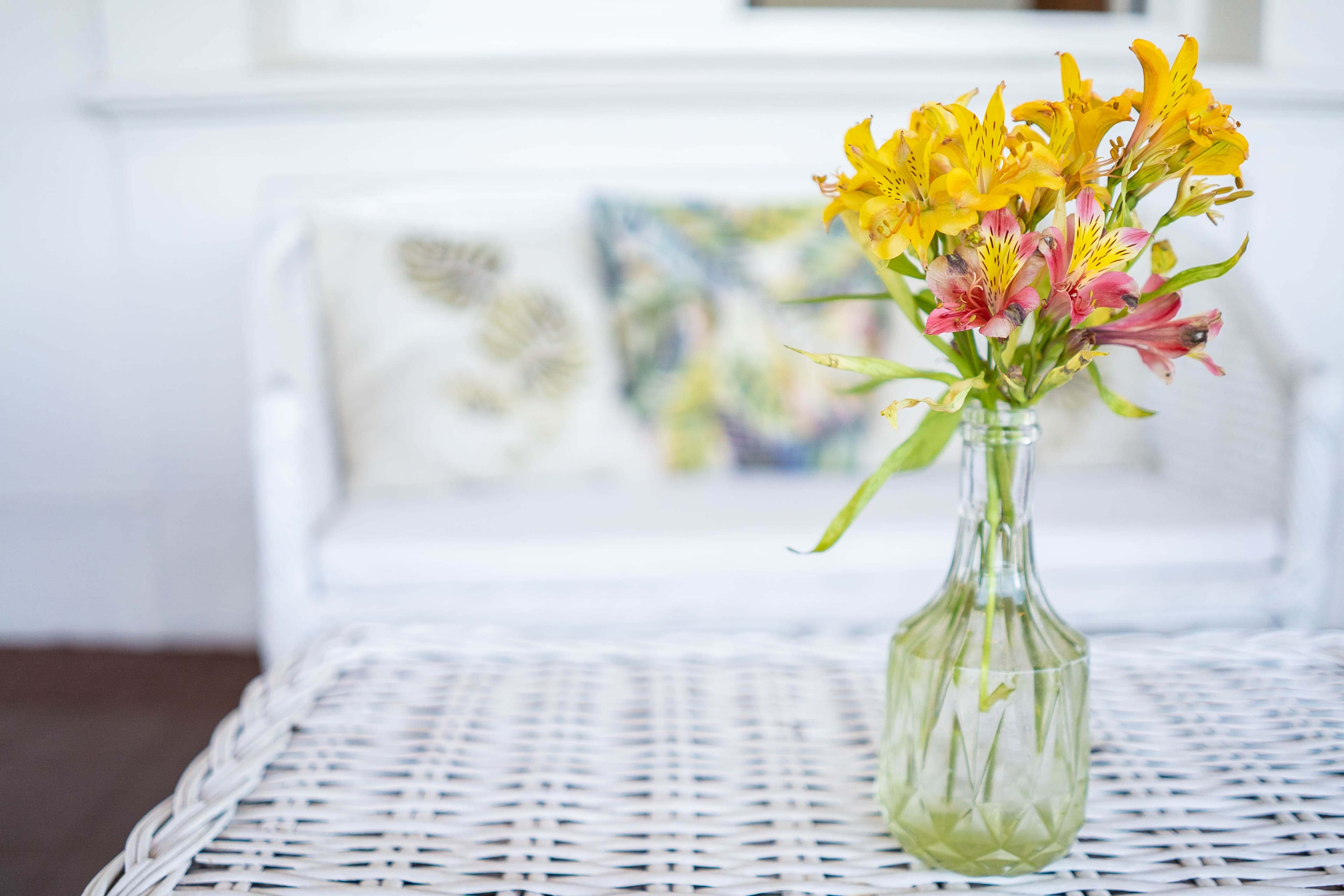 Imagen del proveedor 12