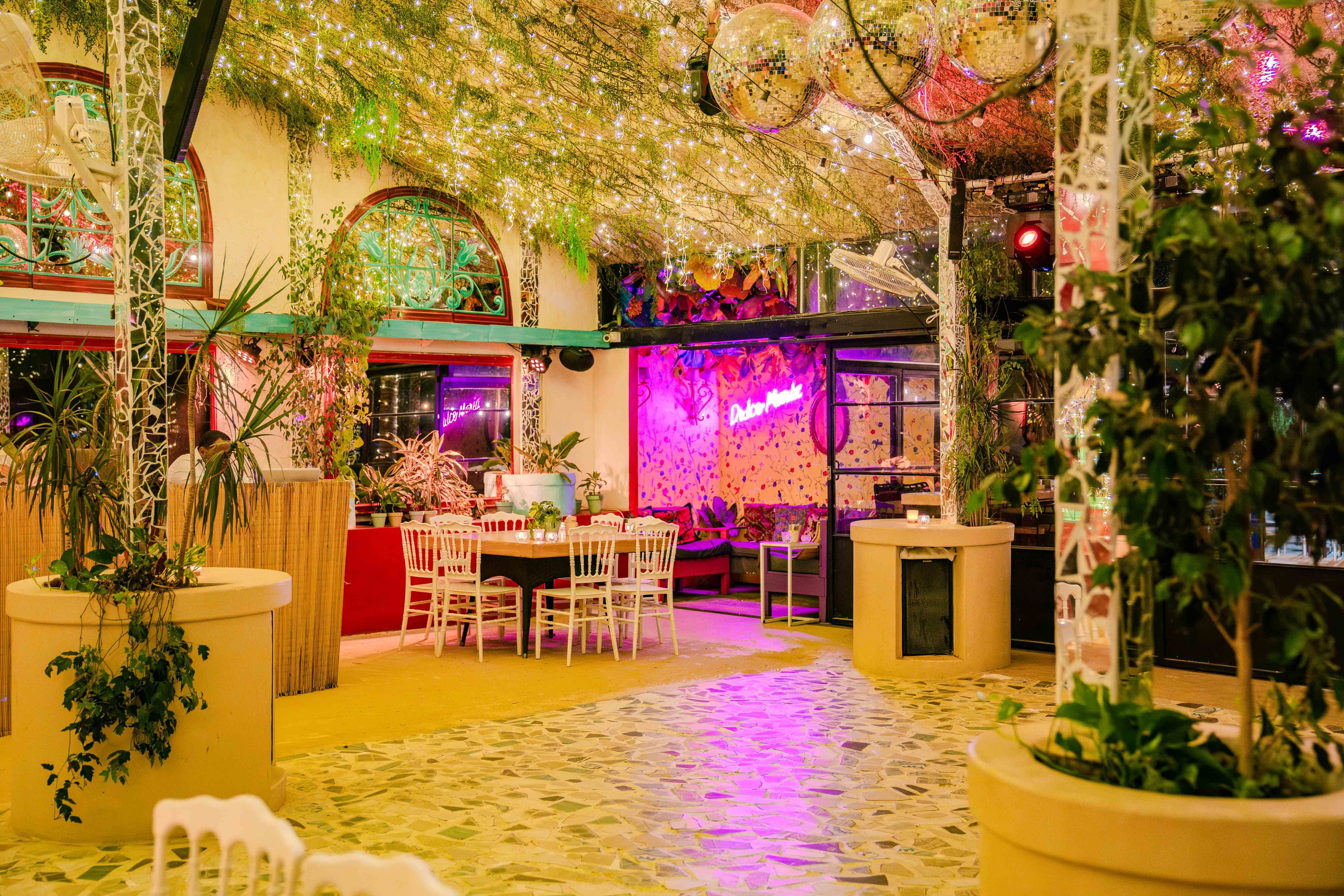 Imagen del proveedor 51